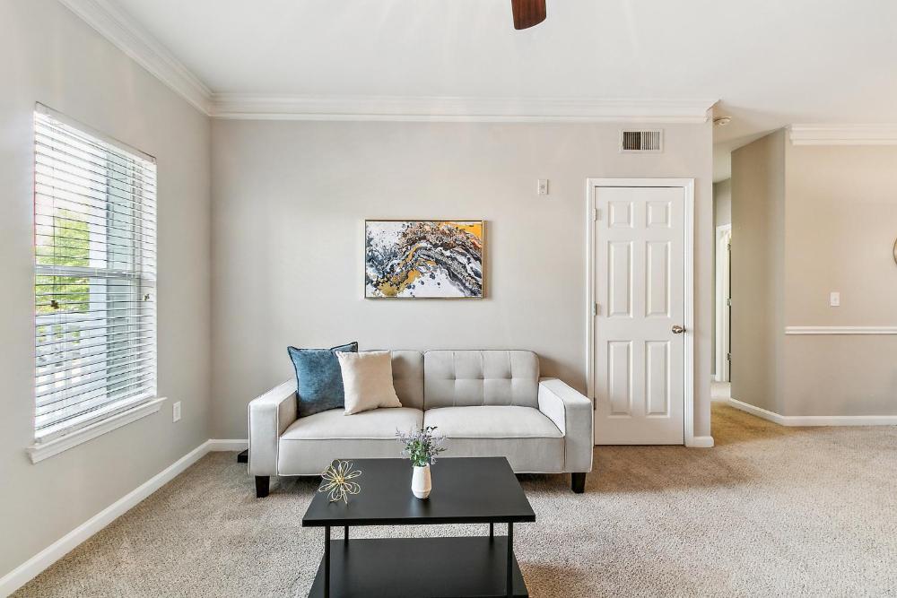 Apartment interior